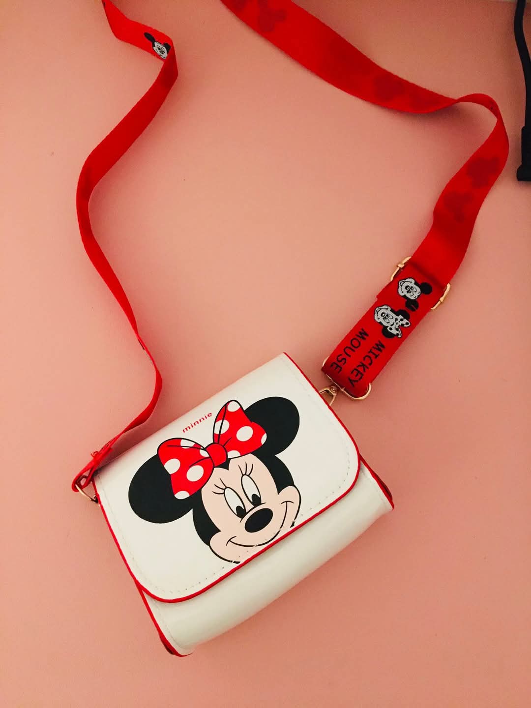 Cartera Minnie