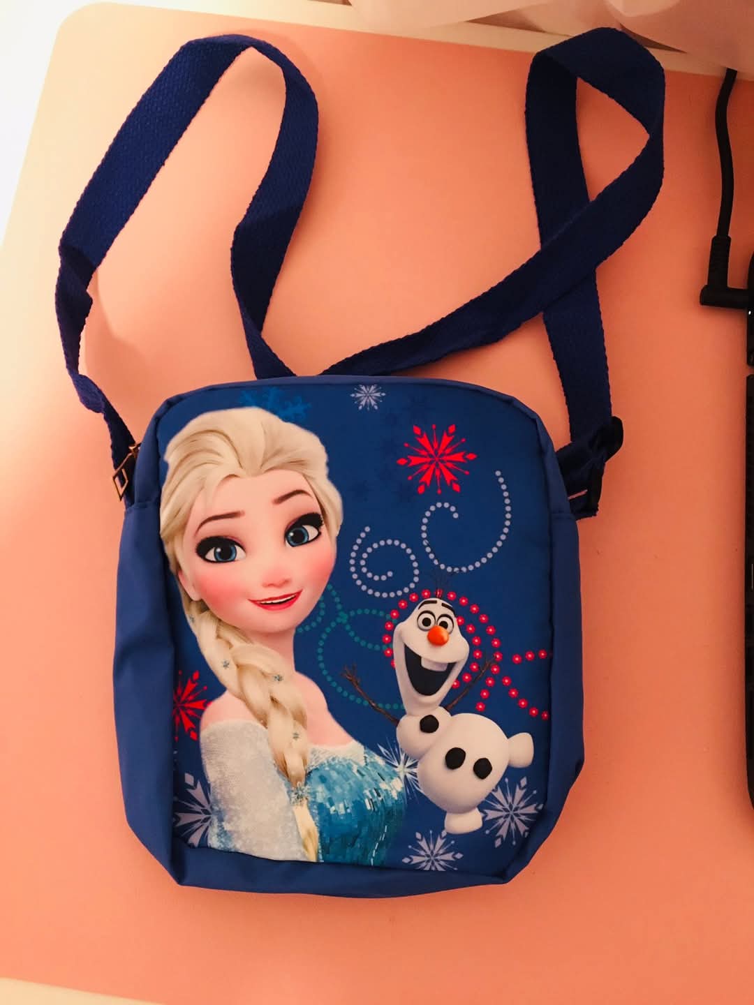 Cartera Frozen